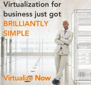 How to install the ShoreTel Virtual Switches!
