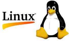 ShoreTel ECC MySQL rants, raves and solutions for email, chat and text (SMS) messaging!